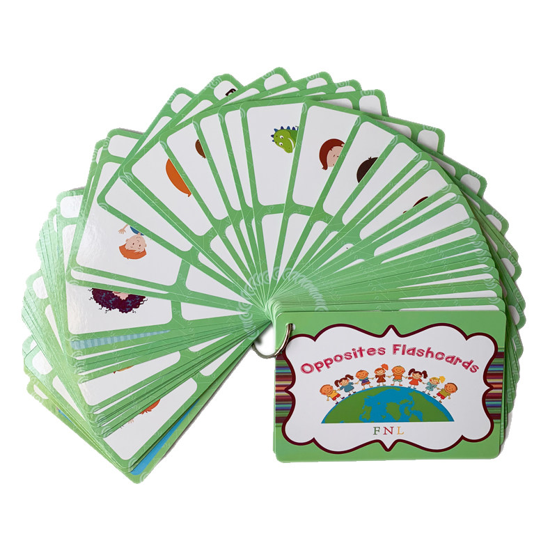 Educational Flash Card - 100 Gruppi di Carte Flash con