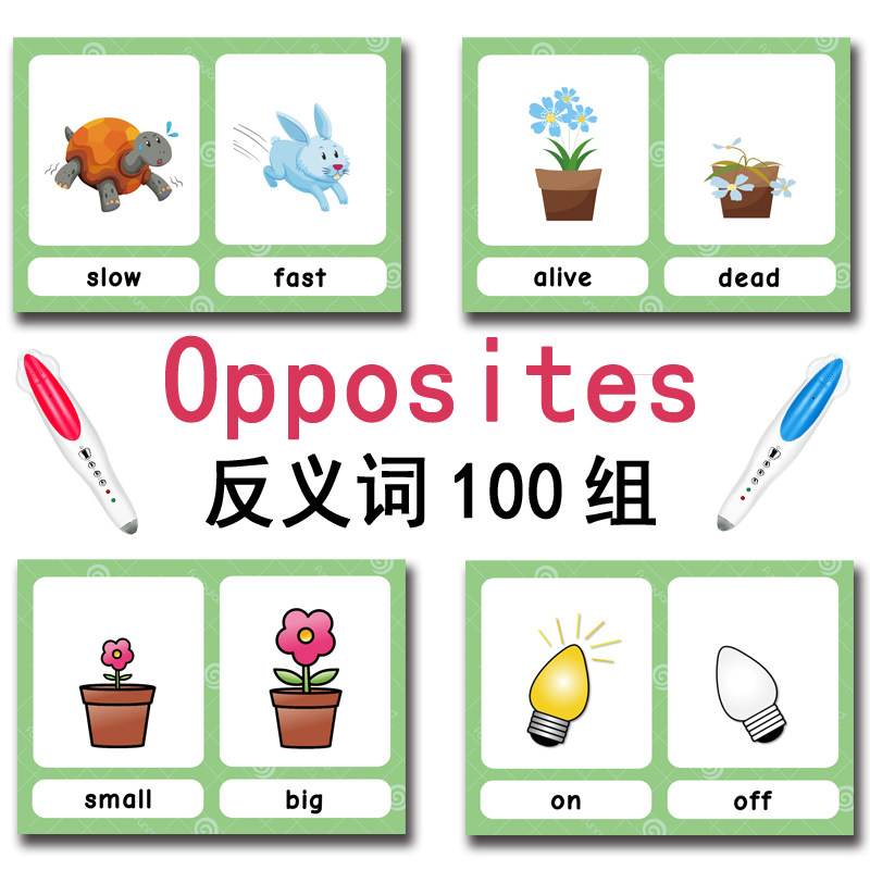 100 Gruppi di Carte Flash con  - Educational Flash Card recensione e prezzo