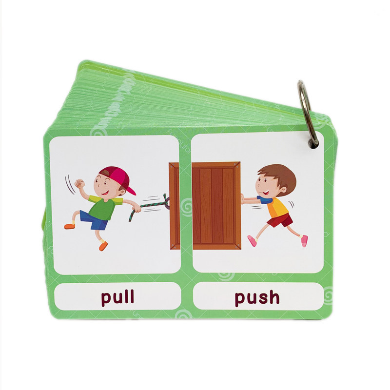 100 Gruppi di Carte Flash con  - Educational Flash Card recensione e prezzo