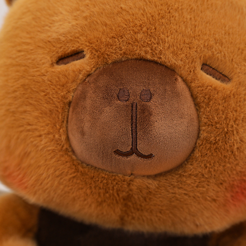 Nuovo capibara peluche peluche - Best Kids Toys Xmas recensione e prezzo