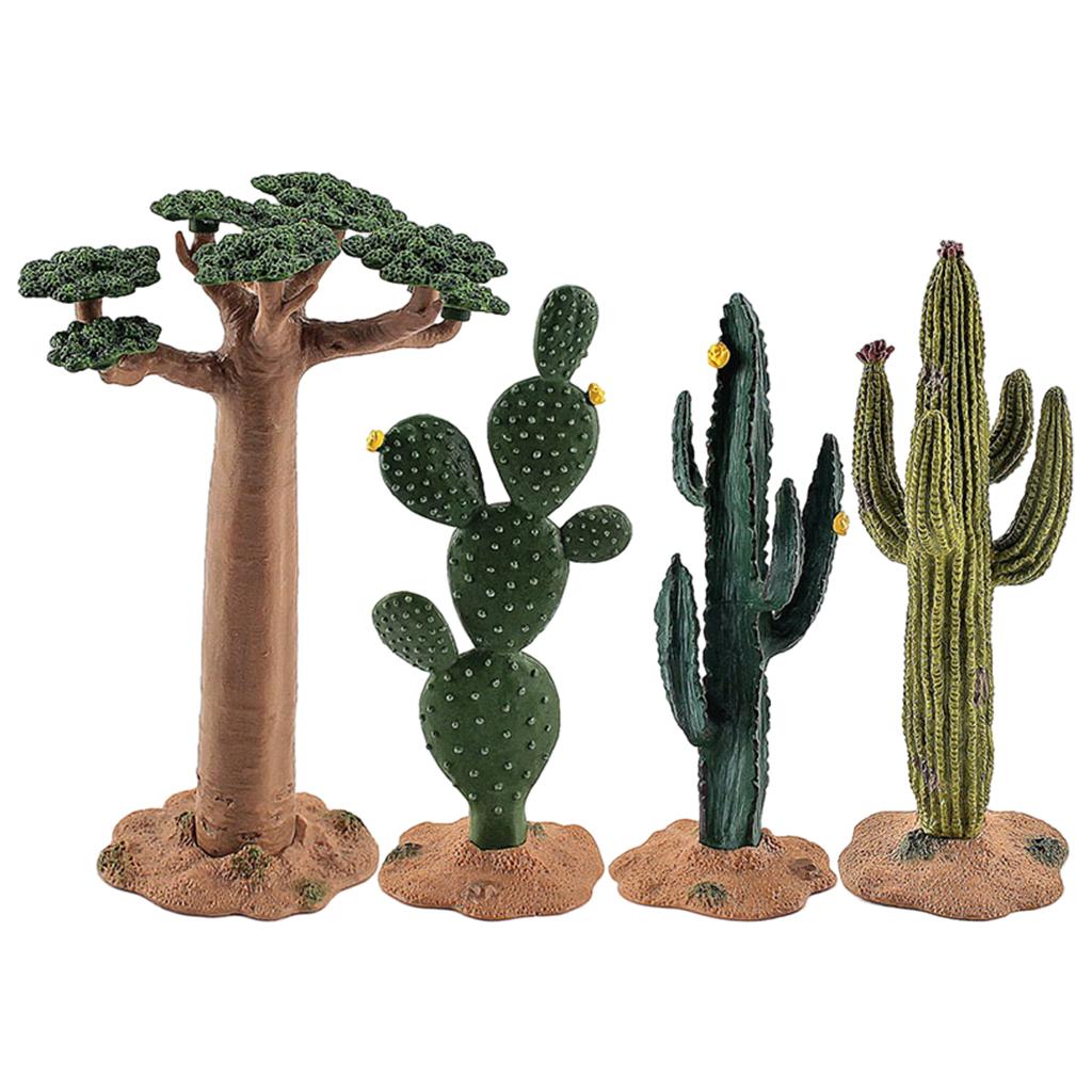 Modello di Cactus Simulato, Ba - Kids Toys Store recensione e prezzo