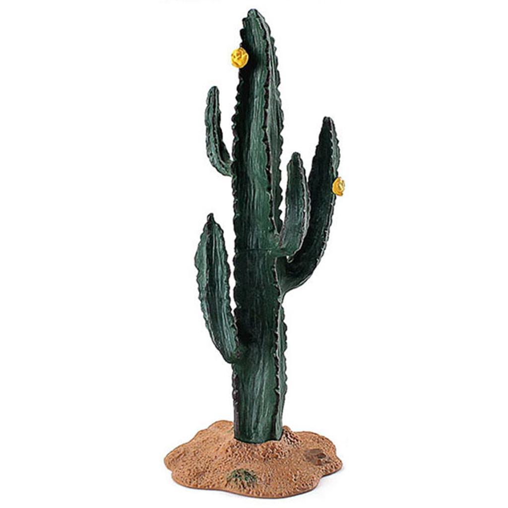 Modello di Cactus Simulato, Ba - Kids Toys Store recensione e prezzo