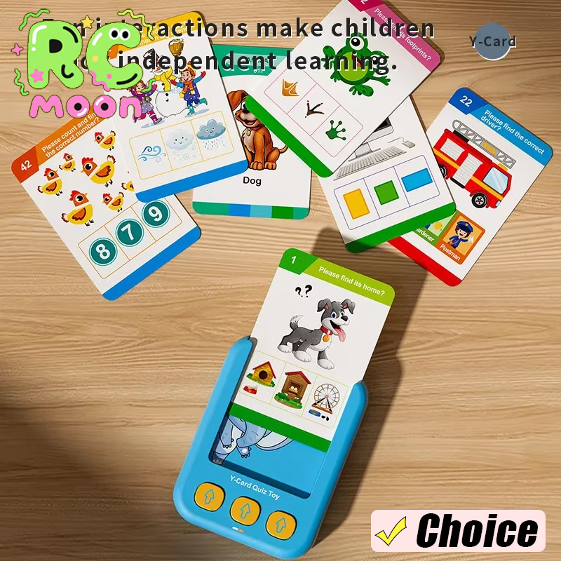 Scheda flash per l'educazione  - Educational Flash Card recensione e prezzo